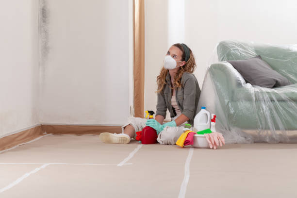 Reliable Black Mold Removal contractor in Mount Laurel, NJ by WQB Mold Removal